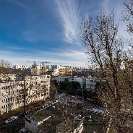 Modern Bruna By Vaya *